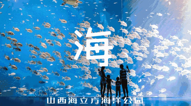 1642058284114288.gif 3.gif