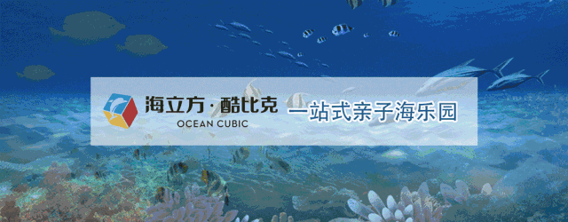 1642058318327902.gif 5.gif