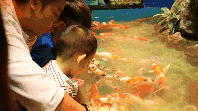 1642058415107820.gif 8.gif